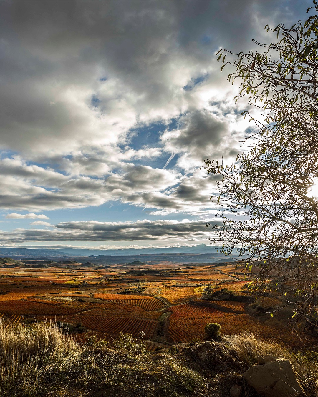 With autumn hues you can’t help but fall for, even a cloudy day is a welcome sight in Rioja Alavesa.