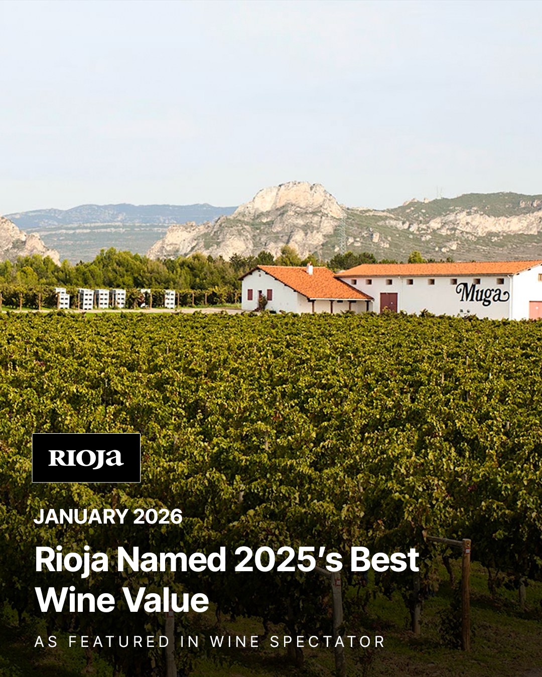 Wine Spectator crowned Rioja 2025 Wine Value of the Year, recognizing the region’s unmatched balance of tradition, craftsmanship, and value. We explore why Rioja continues to stand out. Learn more using the link in our bio.