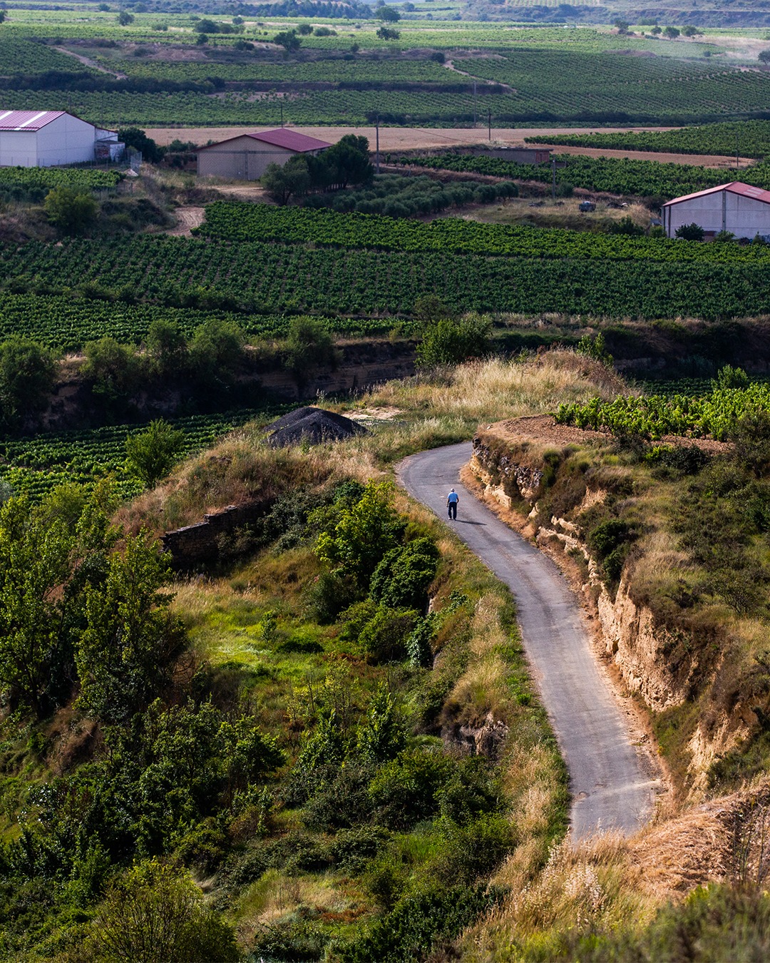 This Rioja village’s actual peak isn’t in its mountain ranges. The pinnacle of San Vicente de la Sonsierra is found in its prestigious wines.
