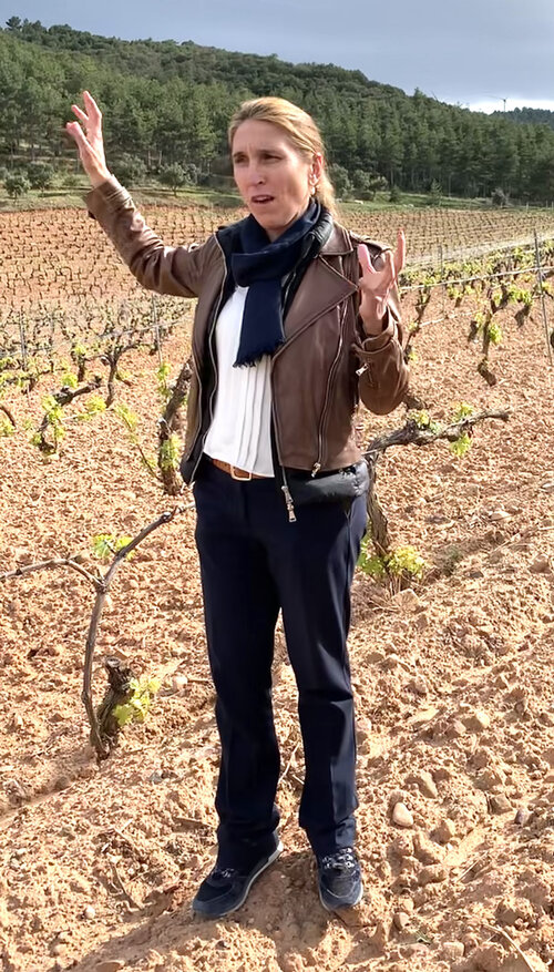 In the vineyards with Raquel Perez Cuevas