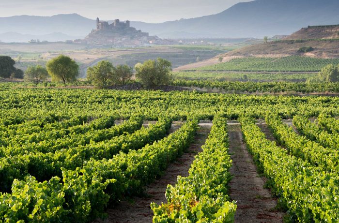 Rioja Vineyard provided by Getty Images