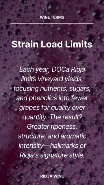 A beauty that comes organically. Rioja’s strict natural-winemaking practices lead to wines that capture quality over quantity like nothing else.