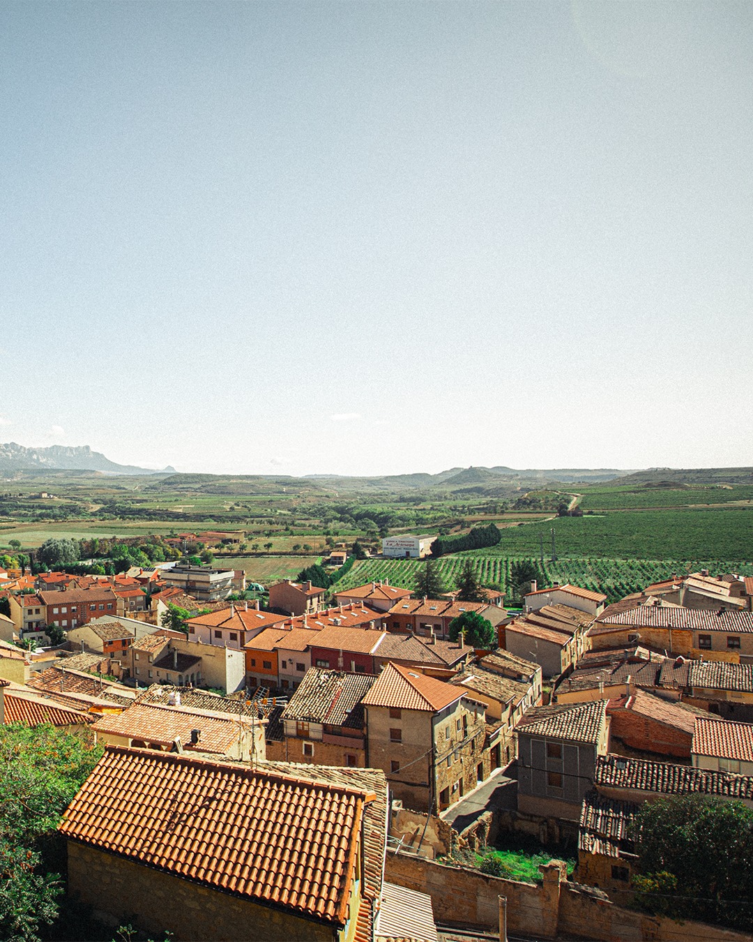 One of the biggest jewels in Rioja’s crown of breathtaking sights.

Briones is a small medieval village that’s filled with authentic middle-age architecture and lush vineyards. It gets its name from the ancient inhabitants of La Rioja, the Berones.