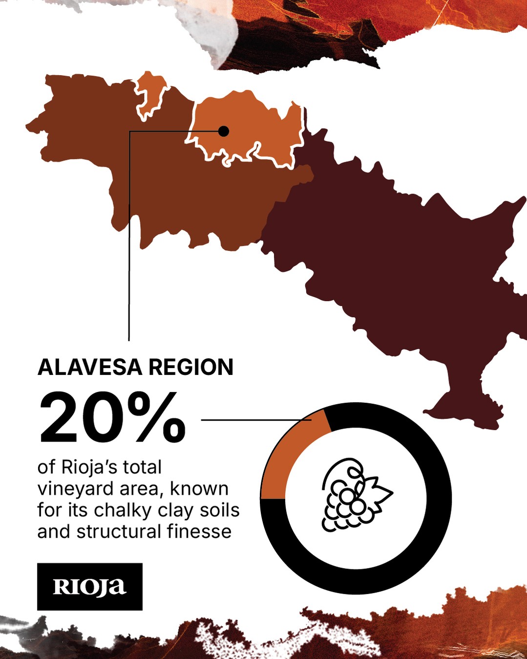 Rioja Alavesa vineyards combines historic wineries and winemakers, plus innovative architecture in a unique landscape. Learn more at our link in bio.