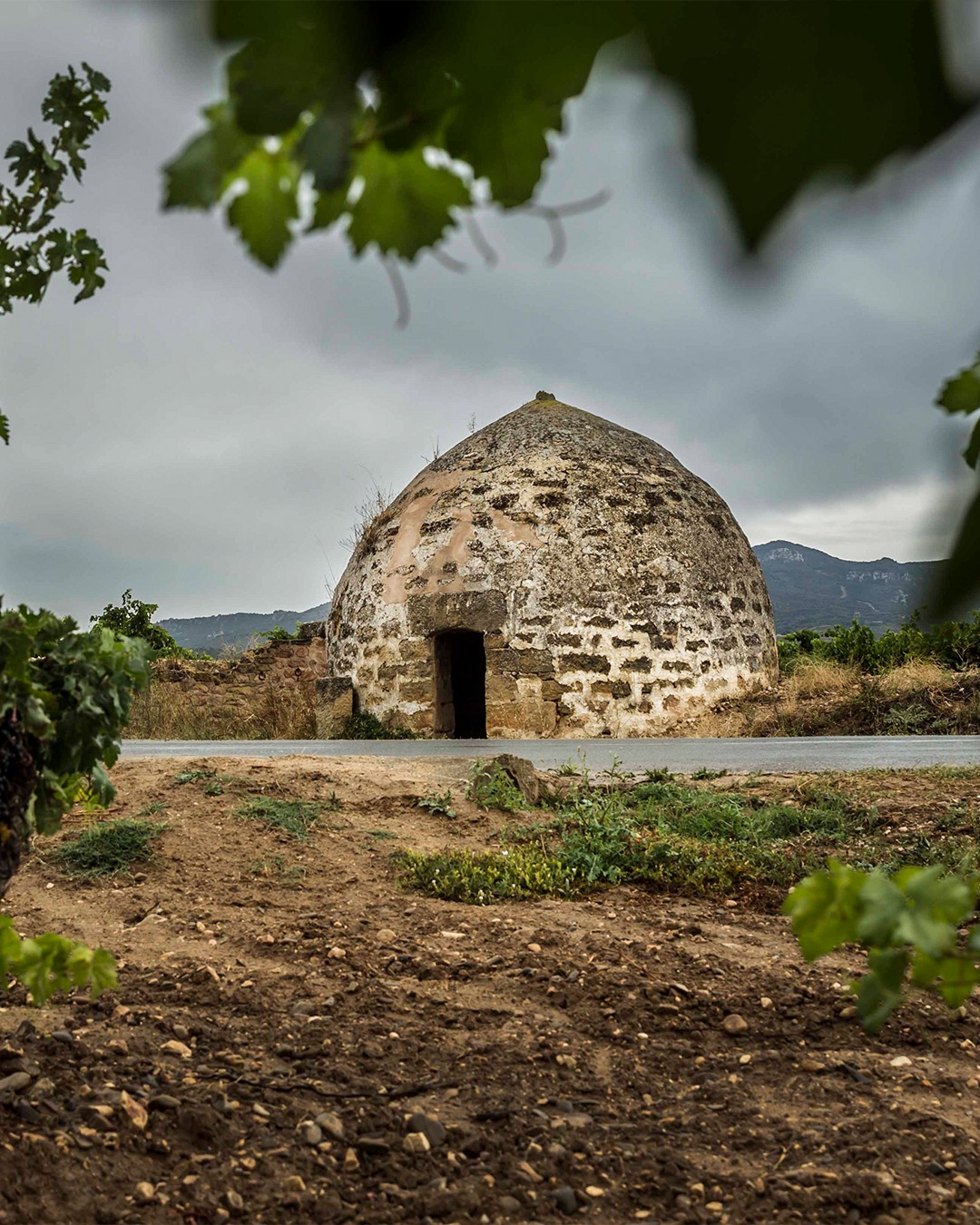 Although Rioja’s traditions continue to hold up, we’ve never stopped evolving. We’ve always continued to innovate for the pursuit of one thing: quality.