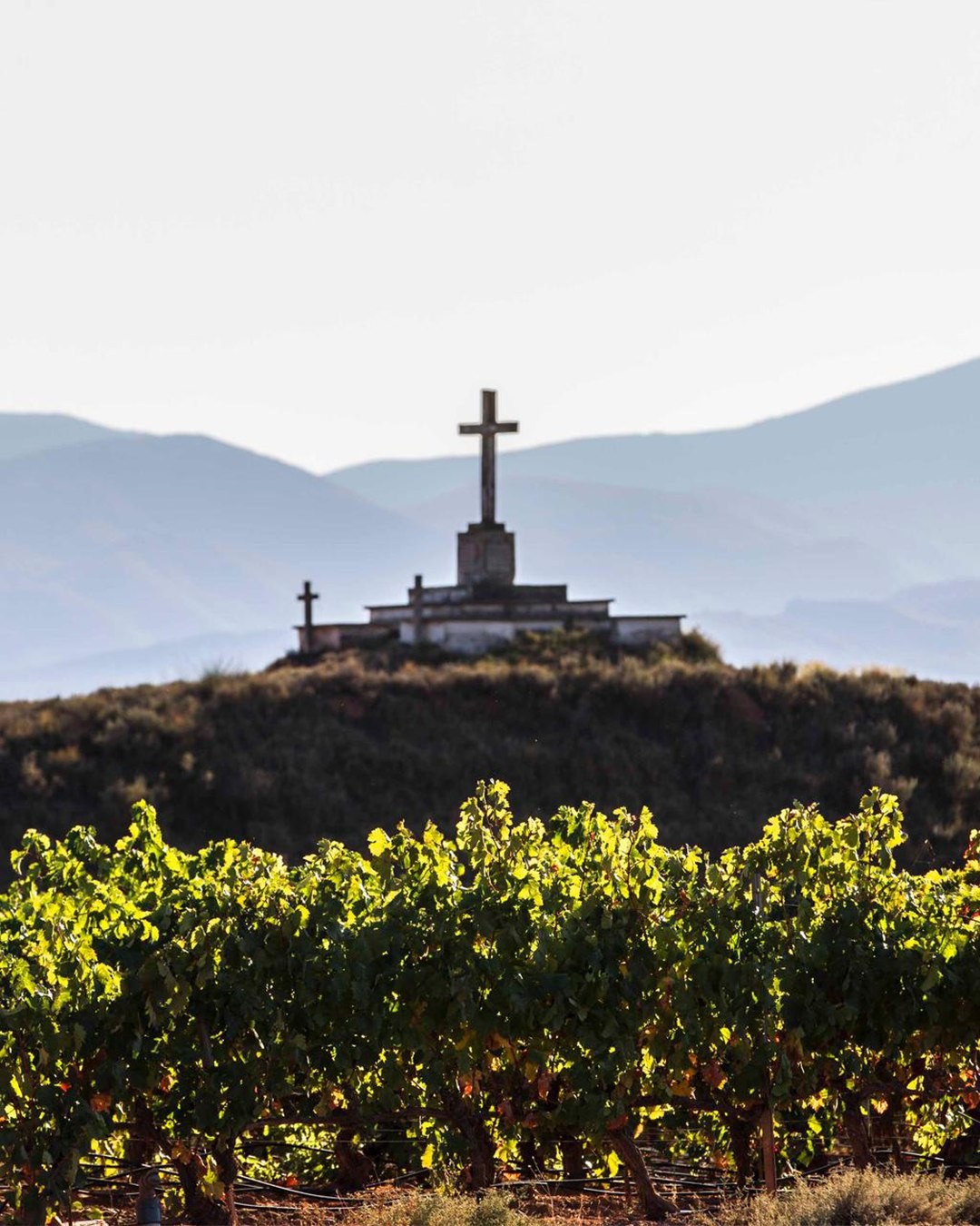 A prime village for vines. Uruñuela’s soils are coveted for their minerality and drainage, providing layers that are just as rich in character as the roots they cultivate.
