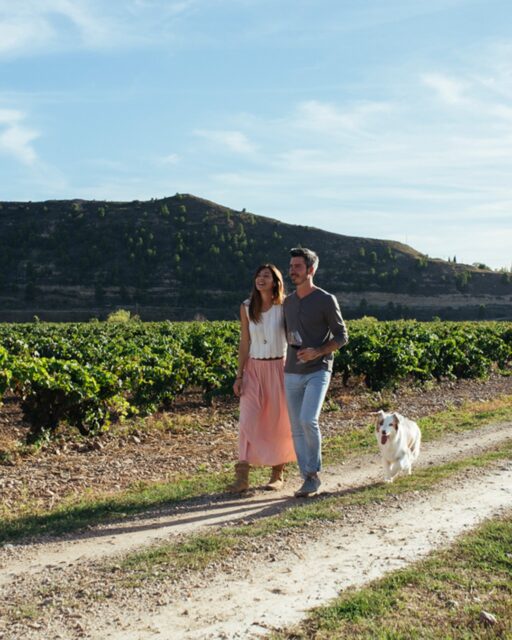 A stroll through a Rioja vineyard isn’t the only summer activity that pairs perfectly with Spain’s finest wines. Find ones that you can enjoy at home in our list of Seasonal Pairings, using our link in bio.