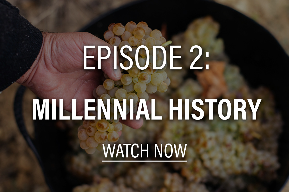 a hand holding a clump of white wine grapes with text overlaying that says episode 2: Millennial History, watch now