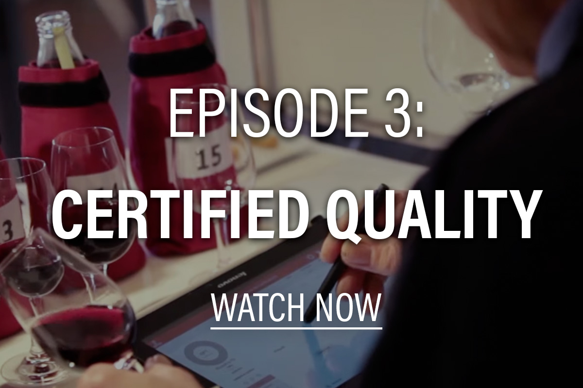 Person with a tablet and stylus, studying unmarked wine bottles; text overlay: episode 3: certified quality watch now