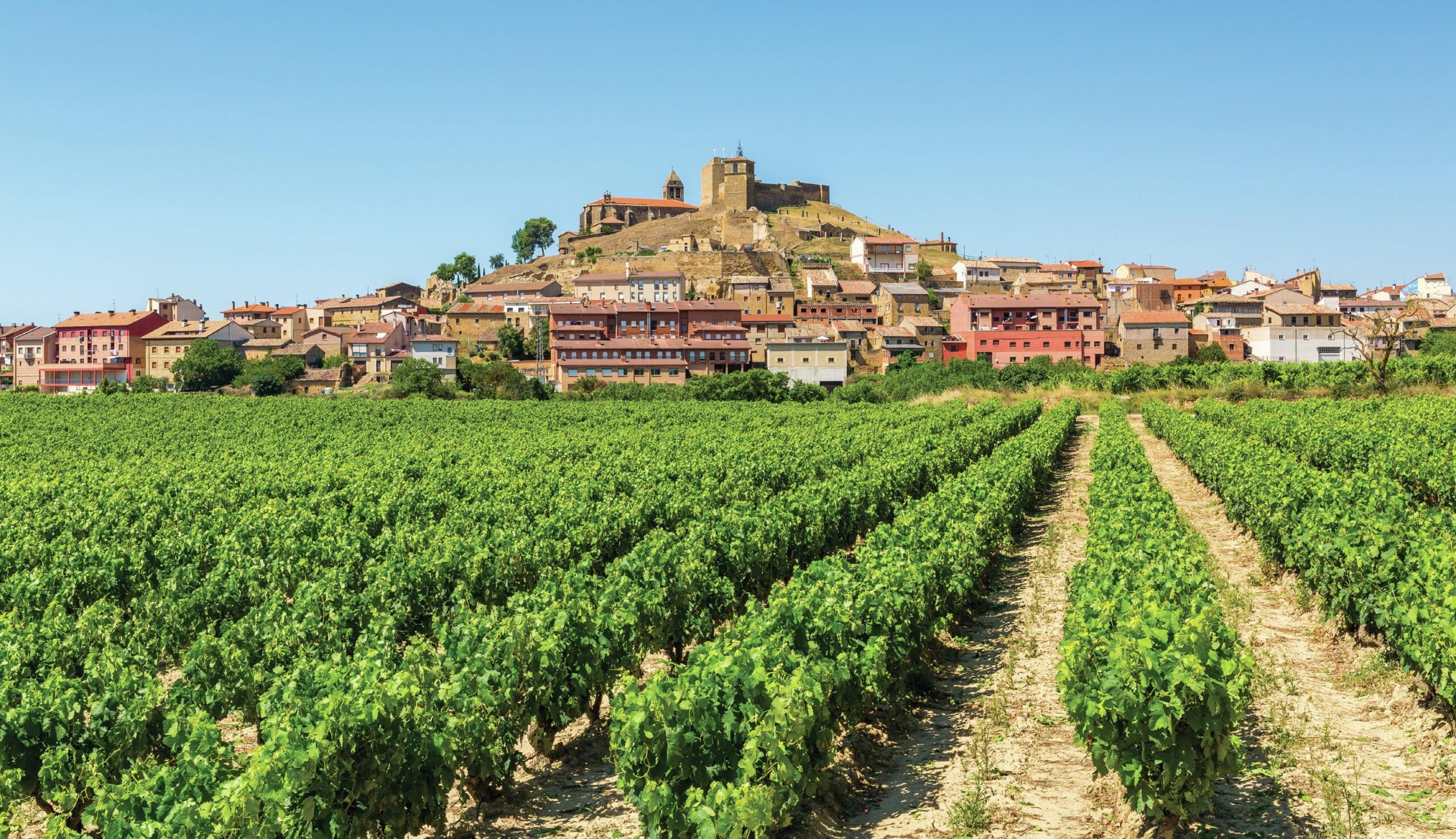 Rioja Masters 2023: Unlocking the Timeless Allure of Rioja Wines