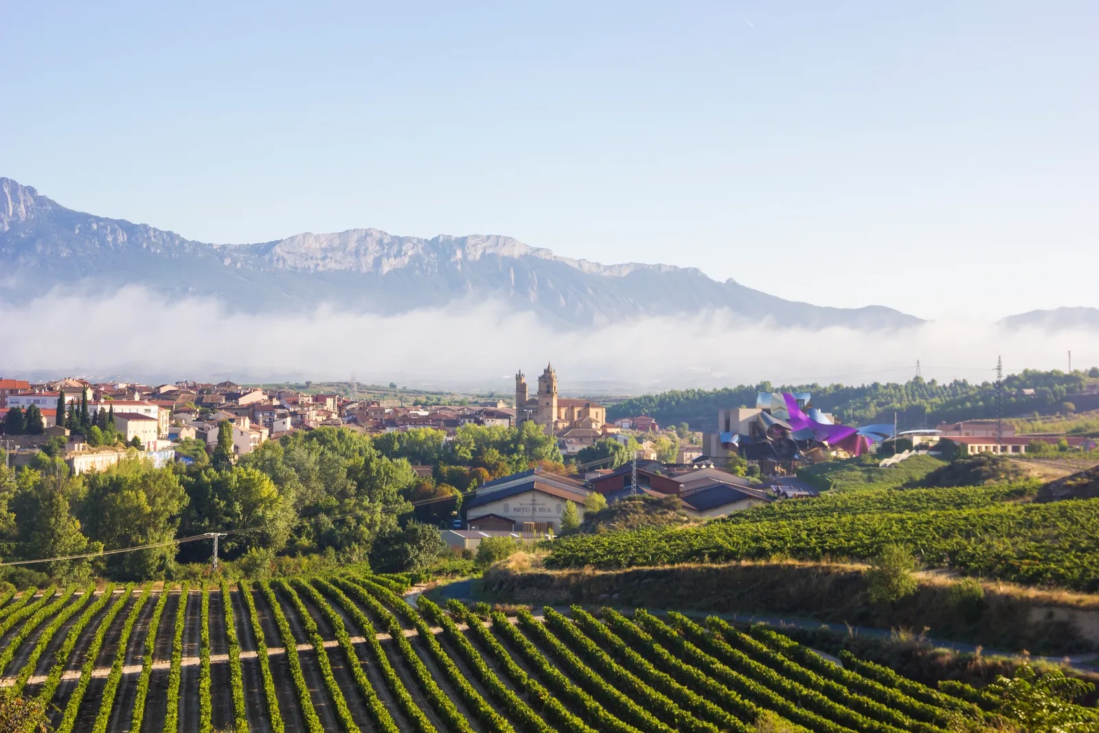 Vogue Recognizes Rioja as a Top Spanish Wine Destination