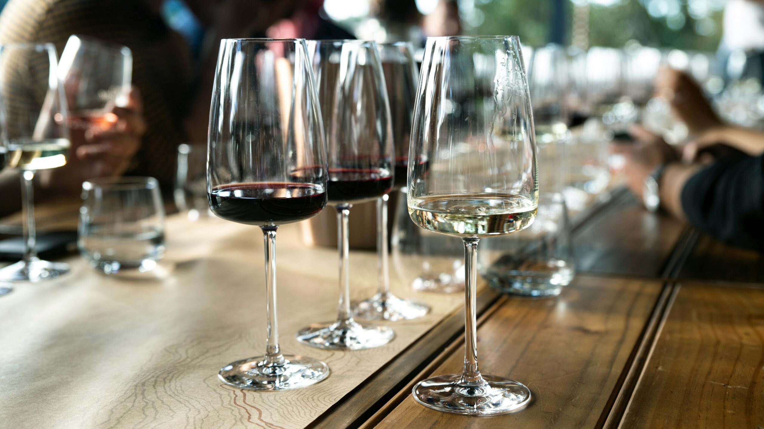 Rioja Wines Experience Toronto