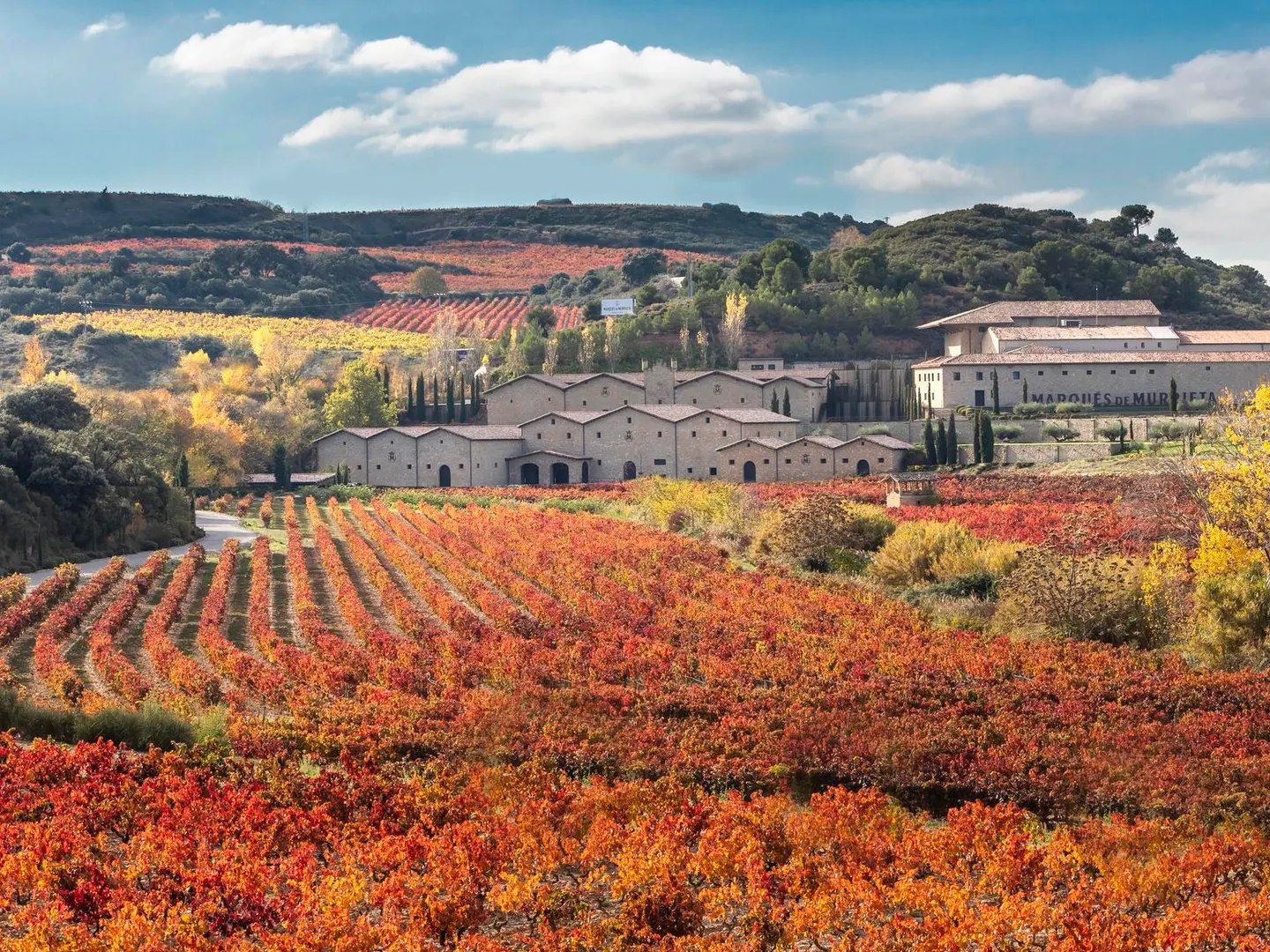 A Significant Global Recognition for Rioja