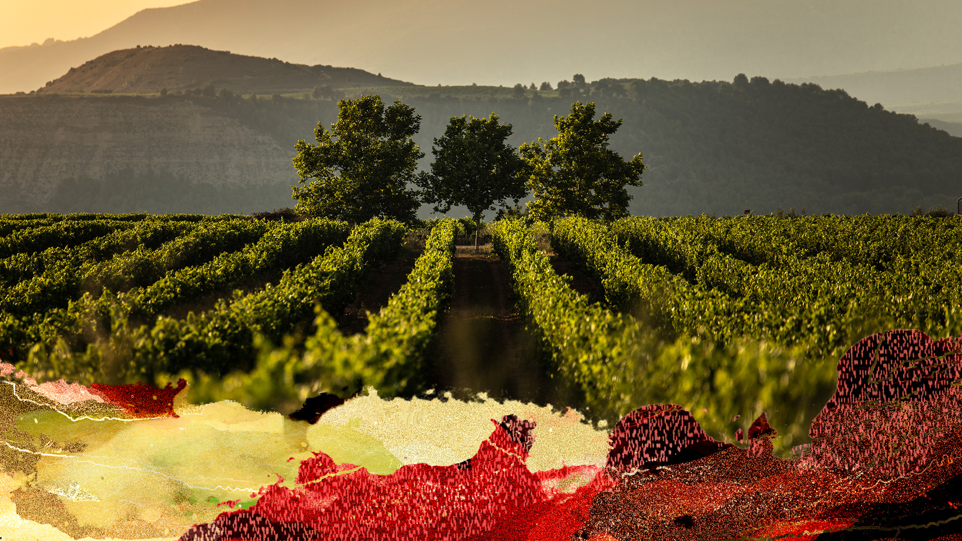 Rioja DOCa Grand Tasting
